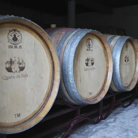 Quinta Da Bica Seia